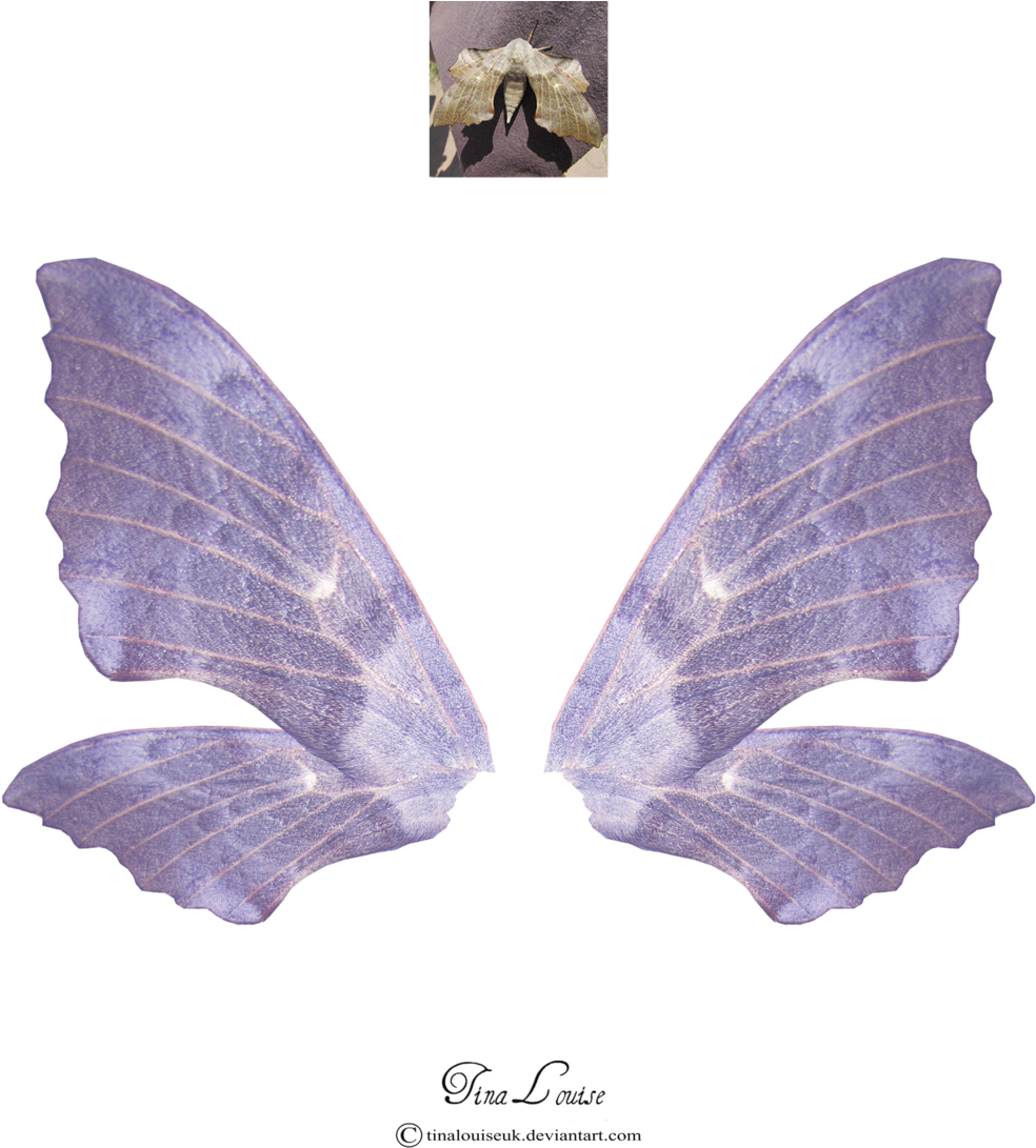 - - Art (1024x1229), Png Download