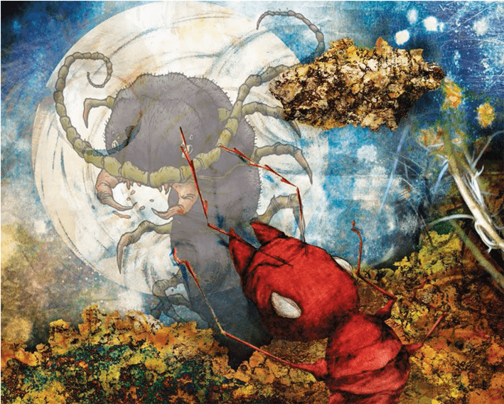 Floral Design (709x709), Png Download