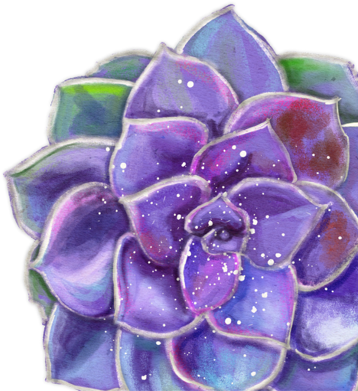 Succulent - Hyacinth (2000x1504), Png Download