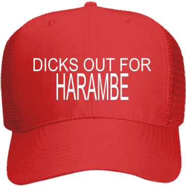 Dicks Out For Harambe - Dicks Out For Harambe Hat (428x400), Png Download