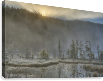 Early Morning Mist Over A Small Pond Along The Rock (429x339), Png Download
