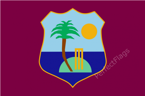 West Indies Flag - India Vs West Indies 2nd T20 (500x500), Png Download