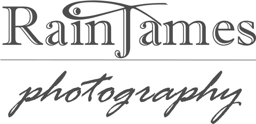Rain James Photography - Sandwich Clip Art (1800x1200), Png Download