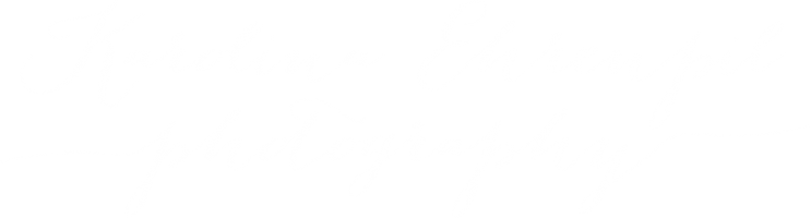 Wedding Photographer - Karolina Ehrenpil - Twitter White Icon Png (743x200), Png Download