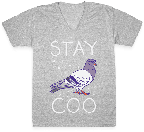 Stay Coo Pigeon V-neck Tee Shirt - Pop Epic Team T Shirts (484x484), Png Download