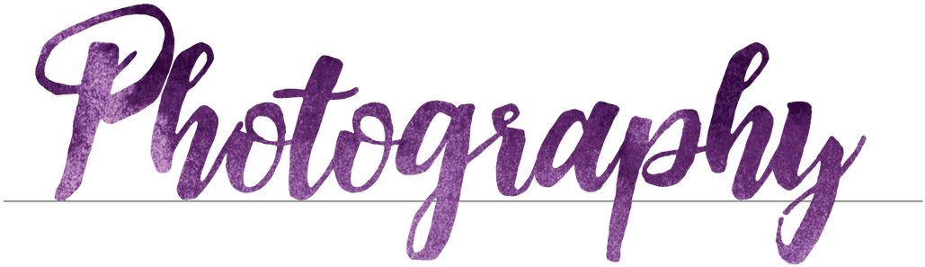 Picture - Wedding Font Style Png (1100x318), Png Download