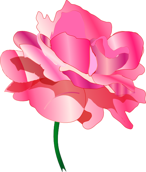Pink Rose No Shadow Clipart Png For Web (504x593), Png Download