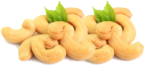 Fuzzy Cashew Nut Grade W180 - Cashewnut Png (640x381), Png Download