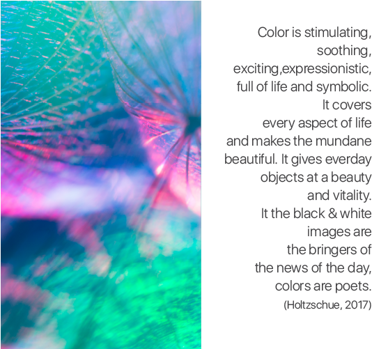 What Is Color - Custom Canvas Gallery Wrap Wall Art - Panoramic (574x500), Png Download