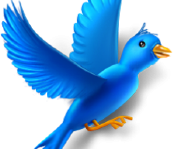 Flyingbird Png (640x480), Png Download