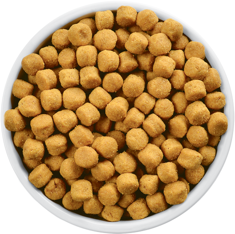 Cake Png Hd Peoplepngcom - T D Diet (500x500), Png Download