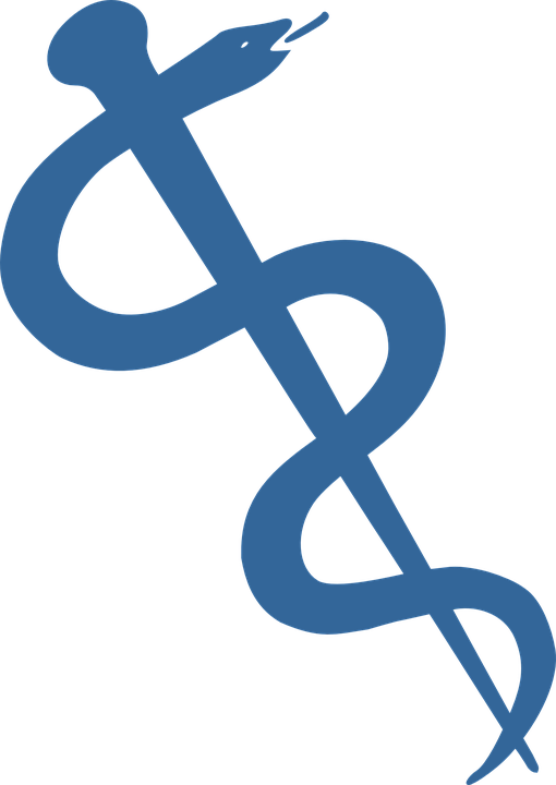 Snake, Staff, Symbol, Caduceus, Medicine, Medical - Rod Of Asclepius Logo Red (510x720), Png Download