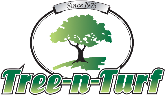 Shrub Clipart Tree Shade - Tree-n-turf Services (600x334), Png Download