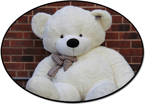 White Teddy Bear - Joyfay Giant Teddy Bear 200cm (2m) White (500x349), Png Download