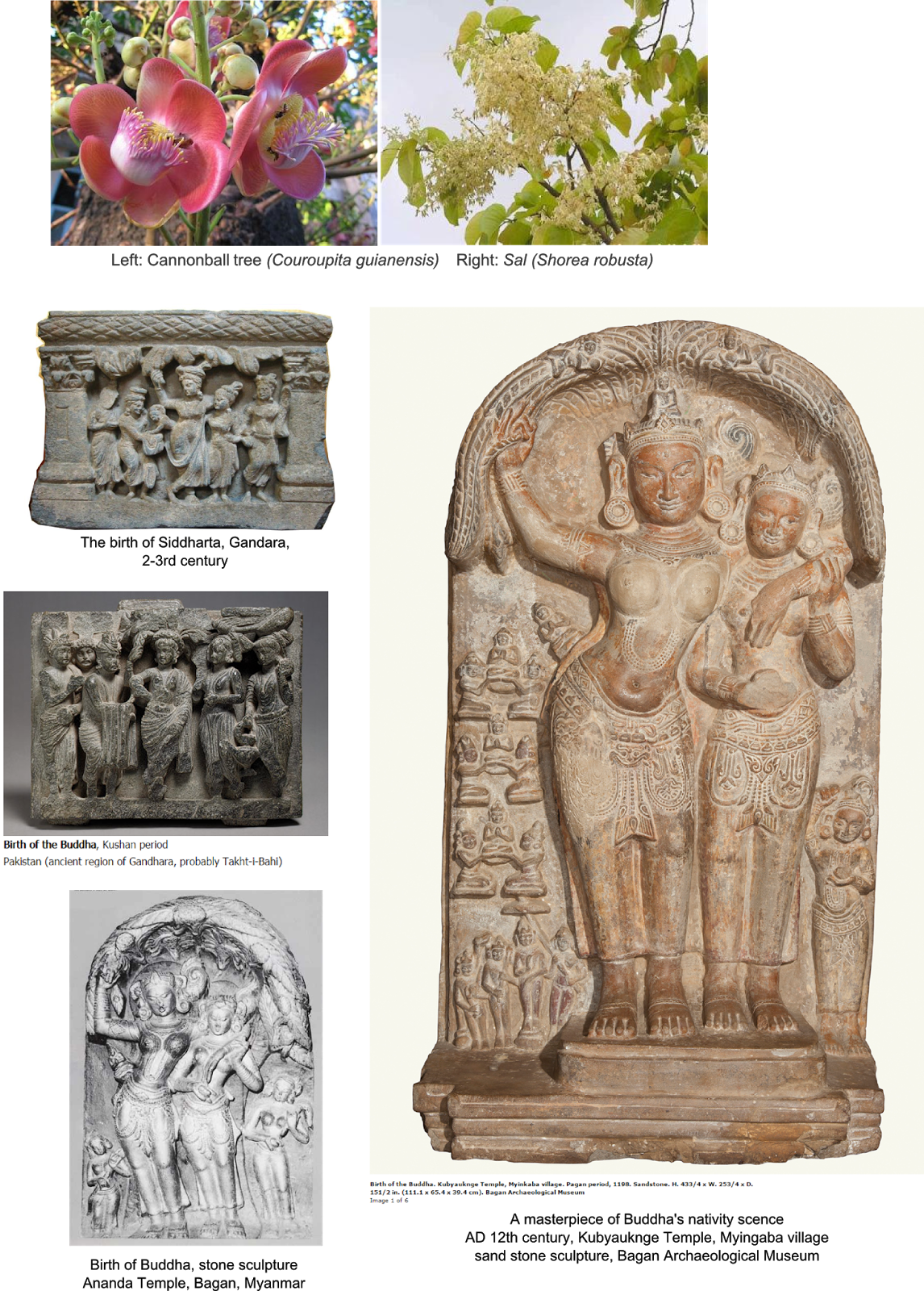 In Asoka A Cultural And Scientific Evauation, 1972, - Birth Of The Buddha (1146x1600), Png Download
