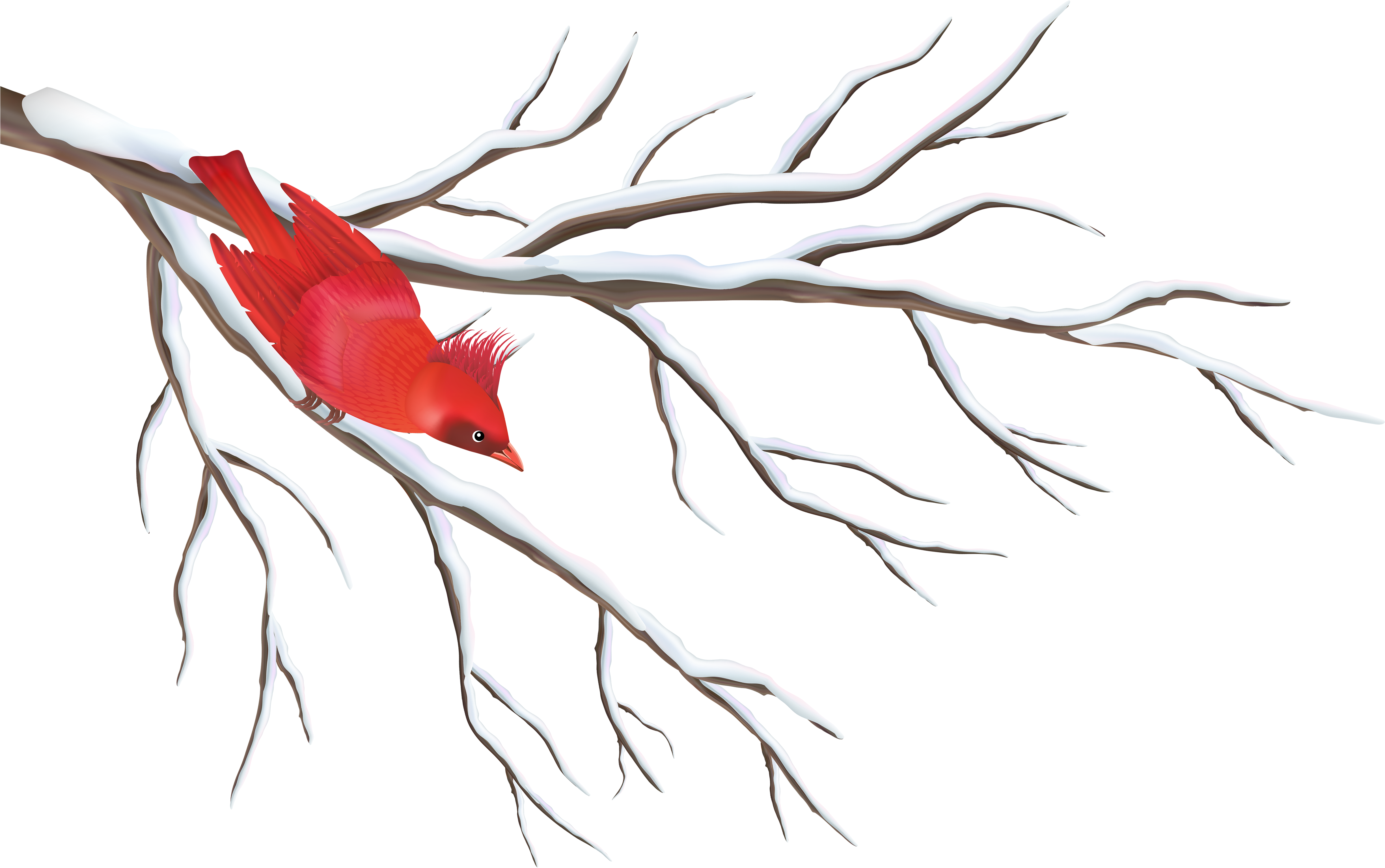 Winter Branch With Bird Png Clipart Image - Winter Branches Clip Art (5000x3294), Png Download