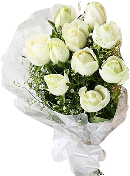 Free Library Bouquet Transparent White Rose - Garden Roses (600x756), Png Download