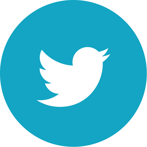 2018 Aveo Vision - Twitter Logos (513x513), Png Download