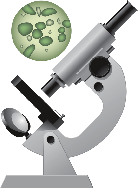 Microscope Clip Art Medical Clip Art, Science Clipart, - Ruled-notebook Journals And Planners For Laboratory (592x800), Png Download