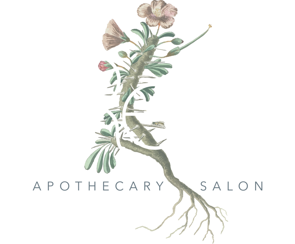 Tress Logo Vector Uai - Geranium Spinosum, Met Wortels, Een Torretje En Een (1000x827), Png Download