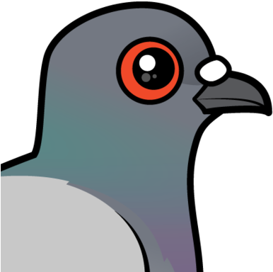 About The Rock Pigeon - Rock Dove (440x440), Png Download