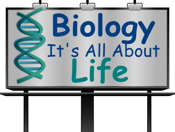 Biology Clip Art - Biology Its All About Life (600x454), Png Download