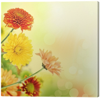 Colorful Mums Flowers On Warm Bokeh Background Canvas - Sunny Wishes - Kjv Scripture Greeting Cards - Boxed (400x400), Png Download