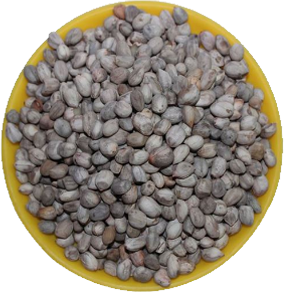 Sold Times - Boiled Peanuts Seeds (700x700), Png Download