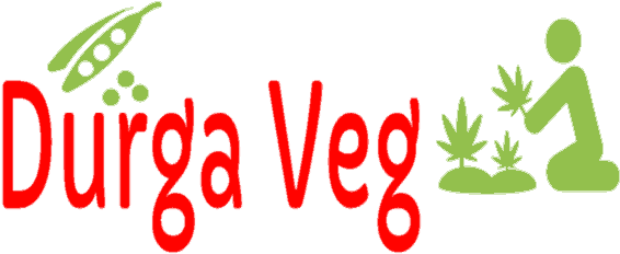 Cropped Logo1 1 - Vegetable (578x250), Png Download