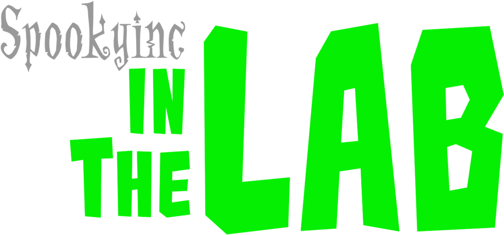 To Stay Up To Date On Our Videos, Please Subscribe (1024x481), Png Download