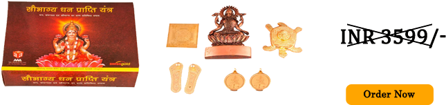 Buy Now Inr 1499/- - Frog (700x260), Png Download