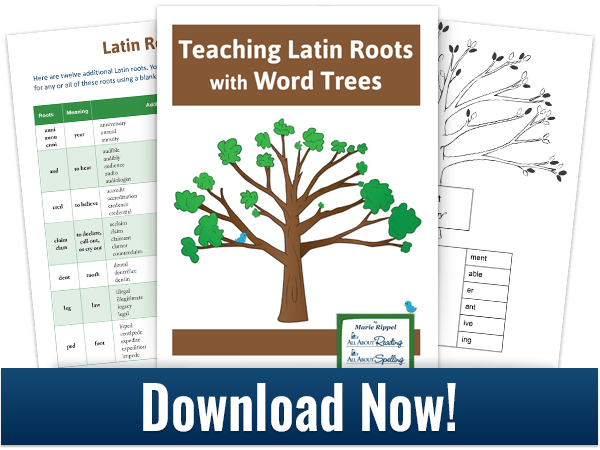 Download For Teaching Latin Roots With Word Trees - Free Printable Alphabet Bracelets (600x450), Png Download