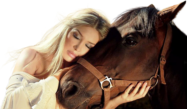 Share This Image - Mane (600x363), Png Download