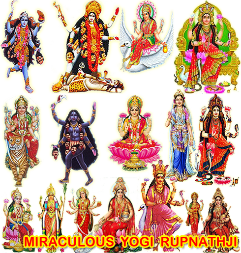 Love Relationship Prediction Call Divine Miraculous - Sādhaka (490x515), Png Download