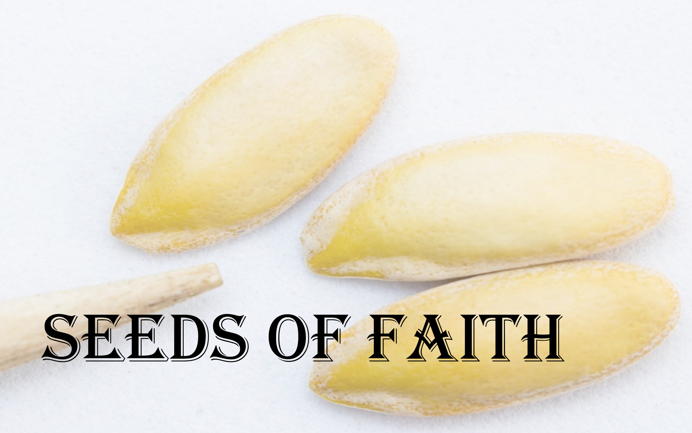 Image Goes Here - Crystal (2400x1500), Png Download