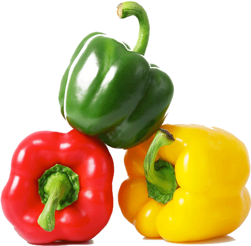 Elomar Company Provide A Variety Of Vegtables For Exporting - Vegetables Board Book For Kids (592x544), Png Download