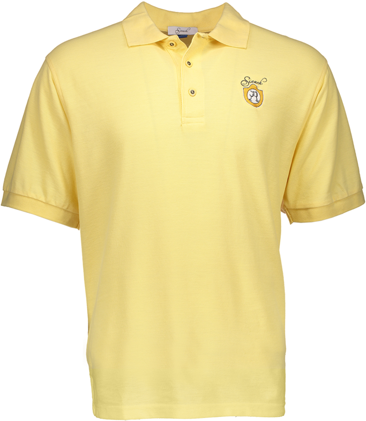 Polo Shirt - Polo Shirt For Men Png (749x1024), Png Download