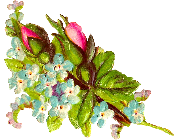 Pink Rose Digital Botanical Flower Images Flower Bouquet - Hoary Stock (747x553), Png Download