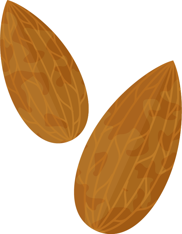Almond Png Clipart Image 01 - Almond Png Animated (620x799), Png Download