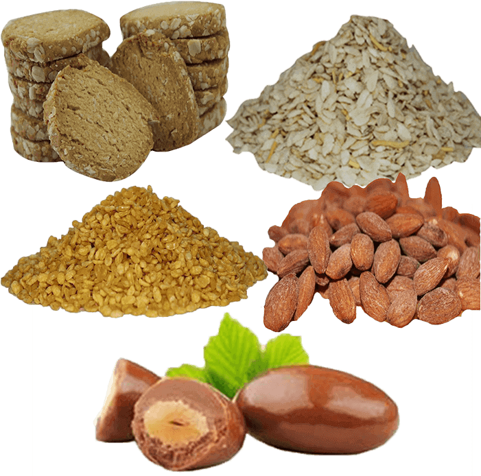 Sold Times - Acorn (700x700), Png Download