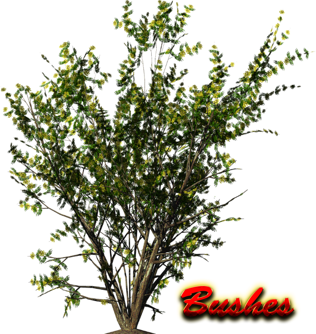 Bushespng (1227x1200), Png Download
