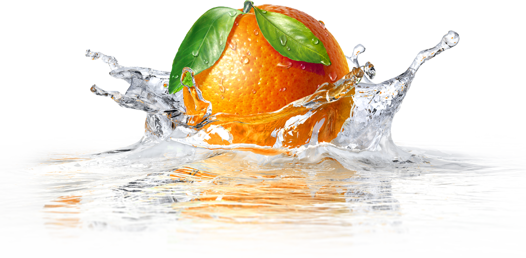 Latest Works - Fruit Infuser Water Bottle For Detox Water (1051x516), Png Download