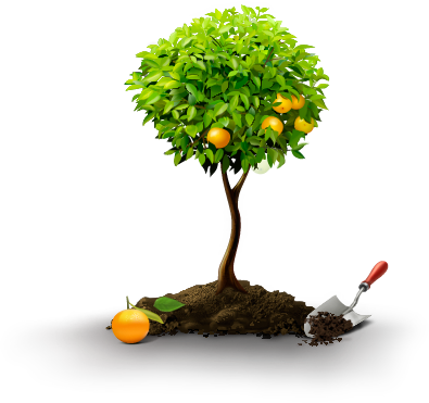 Neem Bio Pesticide - Fruit Tree Icon Png (395x371), Png Download