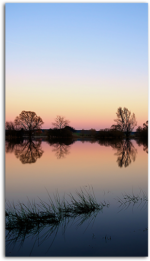 Evening Hd Wallpaper For Your Mobile Phone - Transparent Wallpaper For Mobile (485x550), Png Download