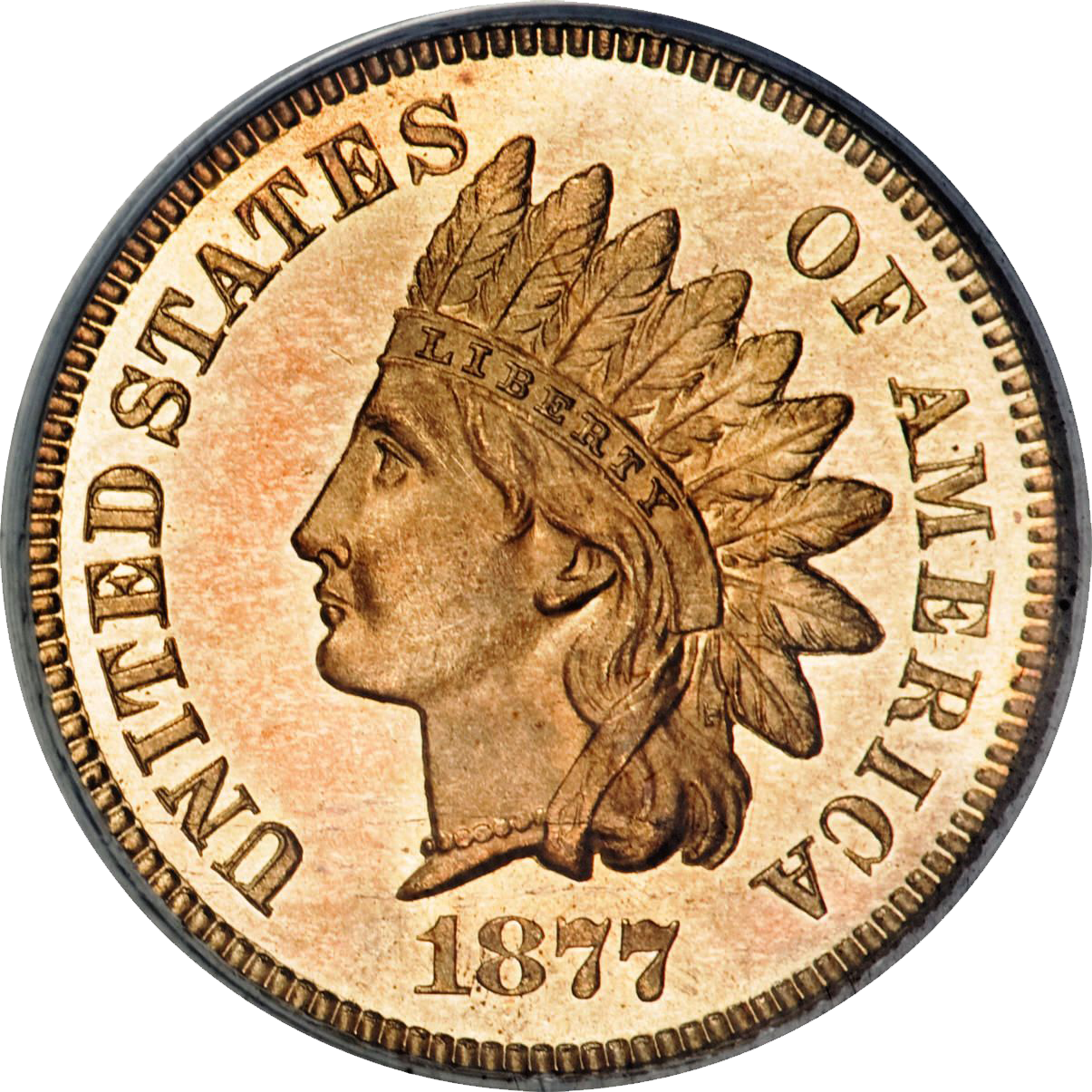 Gold Cent Dealer - 1877 United States Coin (1205x1205), Png Download