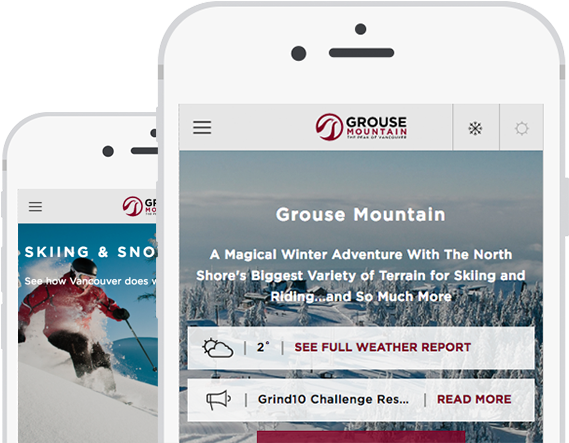 Grouse Mountain Mobile Ecommerce - Grouse Mountain (930x560), Png Download