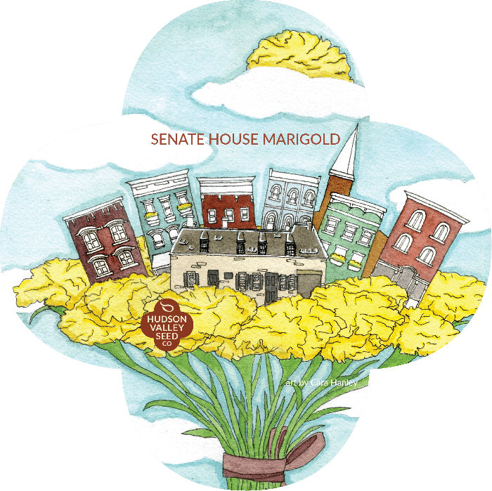Senate House Marigold Seeds Art Pack - United States Senate (700x699), Png Download