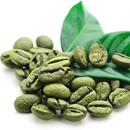 Green Coffee Beans - Green Coffee Beans Png (500x500), Png Download