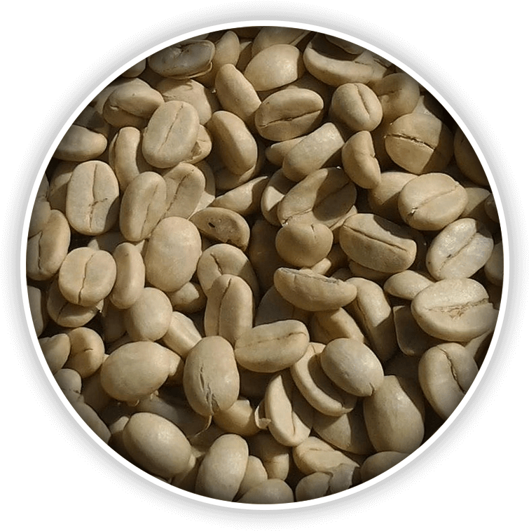 Serve Your Customers The Freshest Coffee - Seed (800x800), Png Download