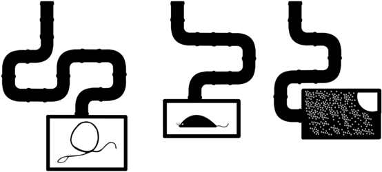Buy Bg Mobile (1000x480), Png Download